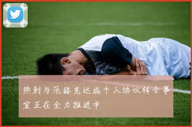 热刺与范赫克达成个人协议转会事宜正在全力推进中